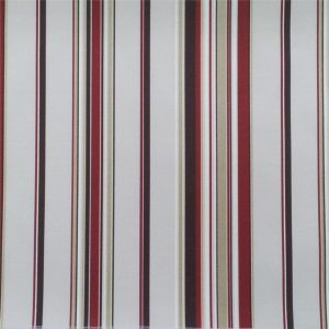 Mexico Raya Kolor 12
