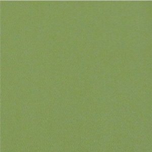 Snow Olive