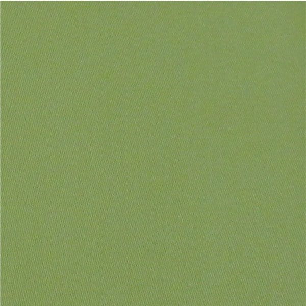 Snow Olive