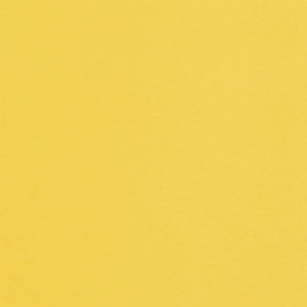 Snow Lemon