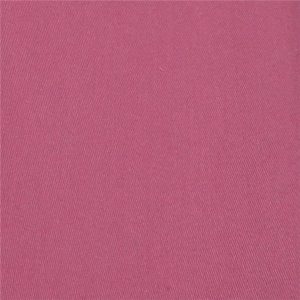 Snow Fuchsia