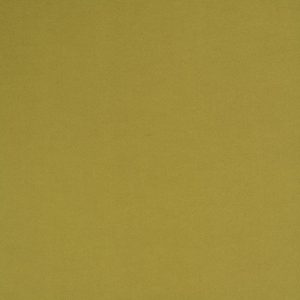 THERMO Kolor E2925