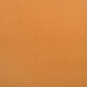 THERMO Kolor E2923